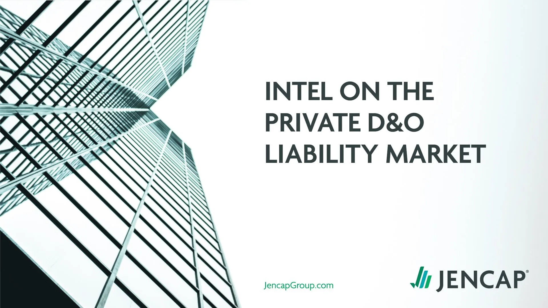 Intel on the Private D&O Liability Market