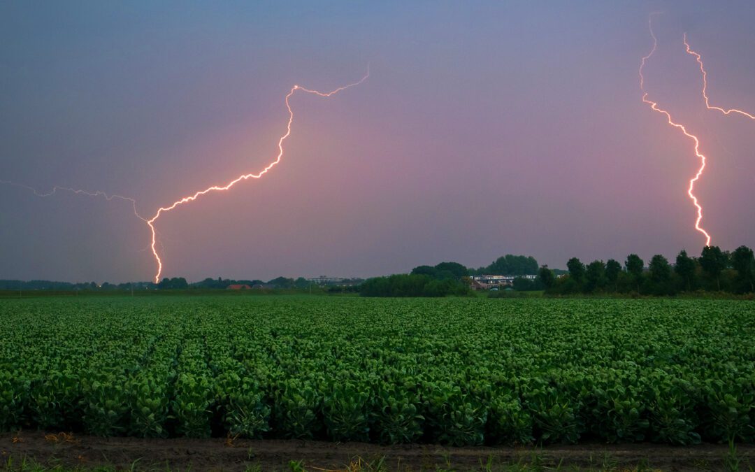 Multiple lightning bolts from a strong september thunderstorm in the dutch countryside at dawn