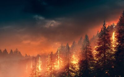 Wildfire,Burning,Through,A,Forest.,High,Contrast,Image.,Illustration