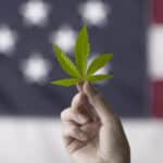multistate operators cannabis industry