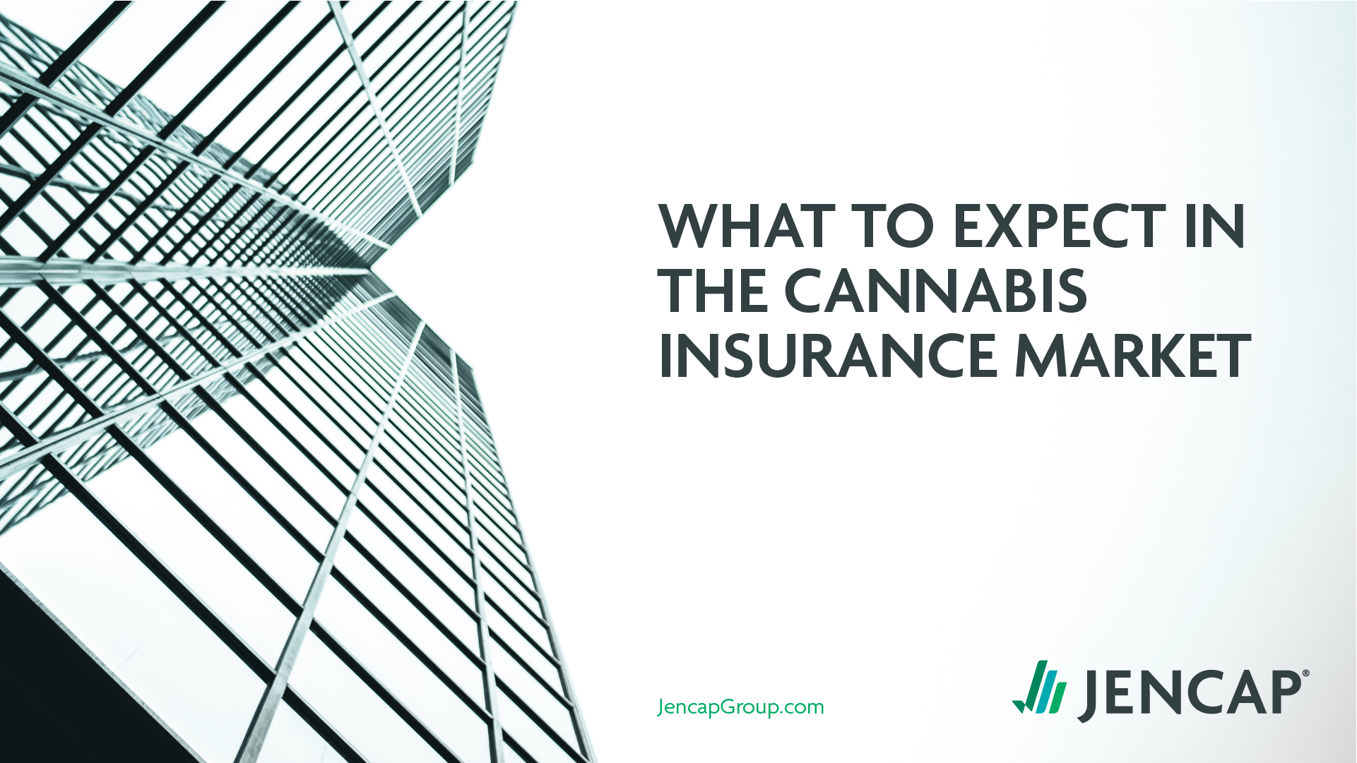What to Expect in the Cannabis Insurance Market