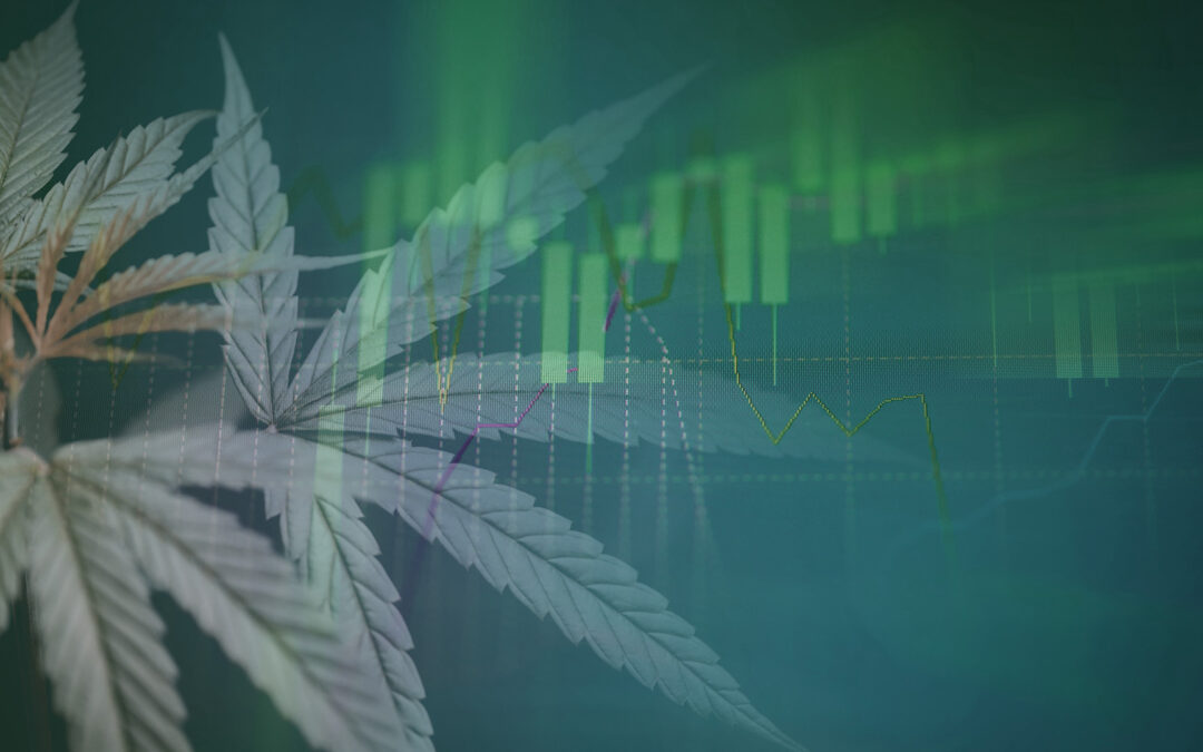 What Insurance Agents Should Know About Cannabis Insurance and Price Compression