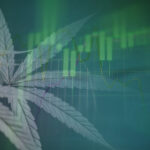 cannabis business insurance