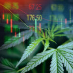 Cannabis Insurance