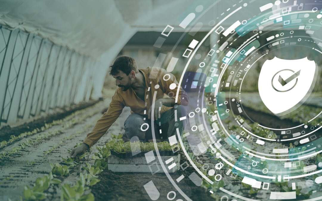 Don’t Overlook Protective Safeguards on Your Cannabis Insurance Policy