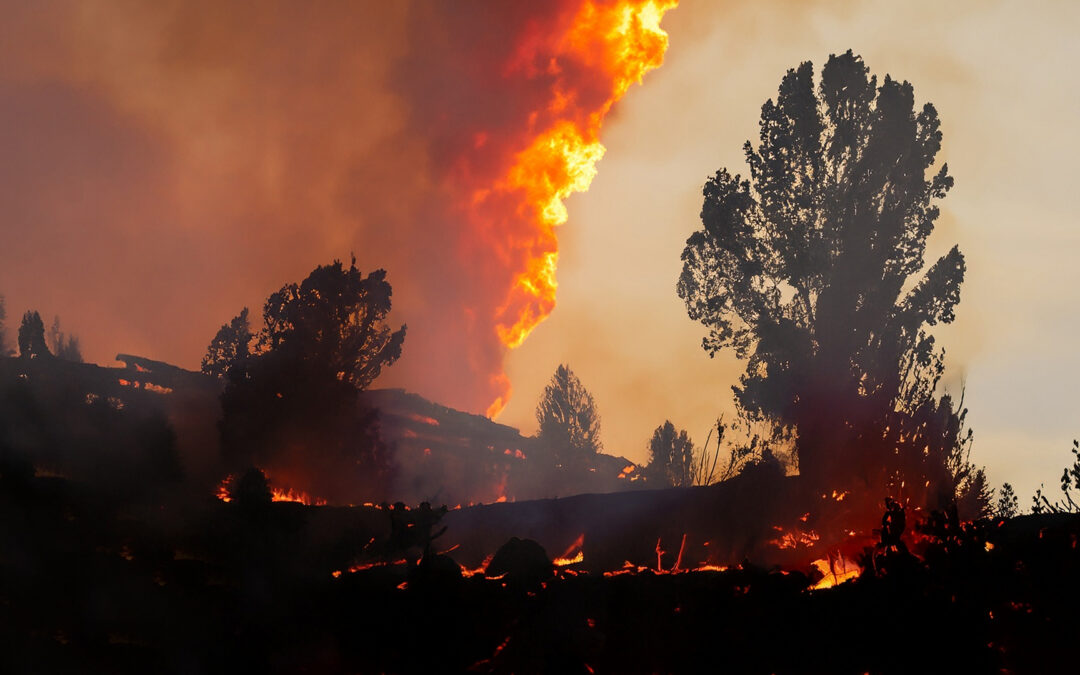 Wildfire Insurance Is Being Rewritten